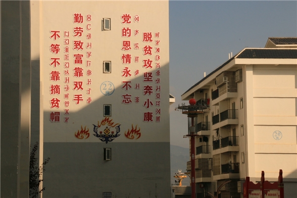 川农学子暑期社会实践，深入调研易地搬迁脱贫成果