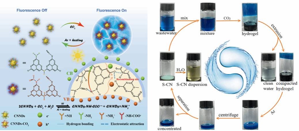 环境学院在CO₂检测和废水净化同步资源化回收方面取得新进展