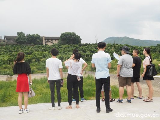 在工作人员的带领下参观柚园。
