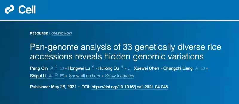 Cell发文！川农聚集中科院团队在水稻参谋中取得紧要残害！.jpg