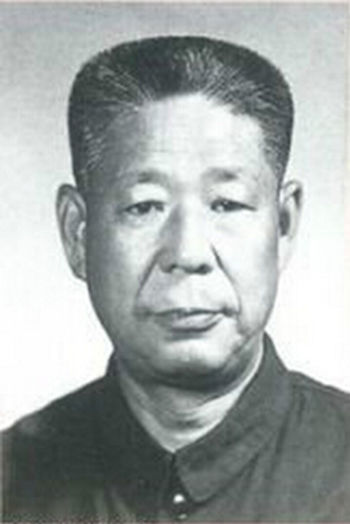杨凤教授
