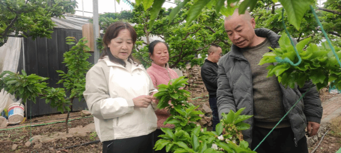 【兴农先锋】吕秀兰教授赴汉源县开展科技助农工作