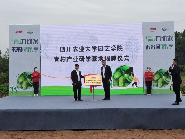 点击新窗口打开 点击新窗口打开