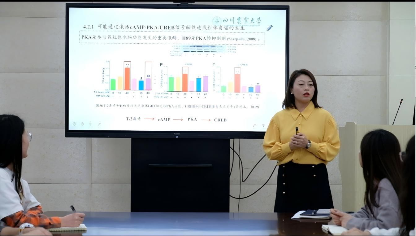 冯琳教授获评2026年四川省“最美教师”