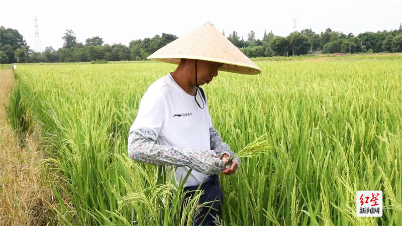 匡应龙 匡应龙