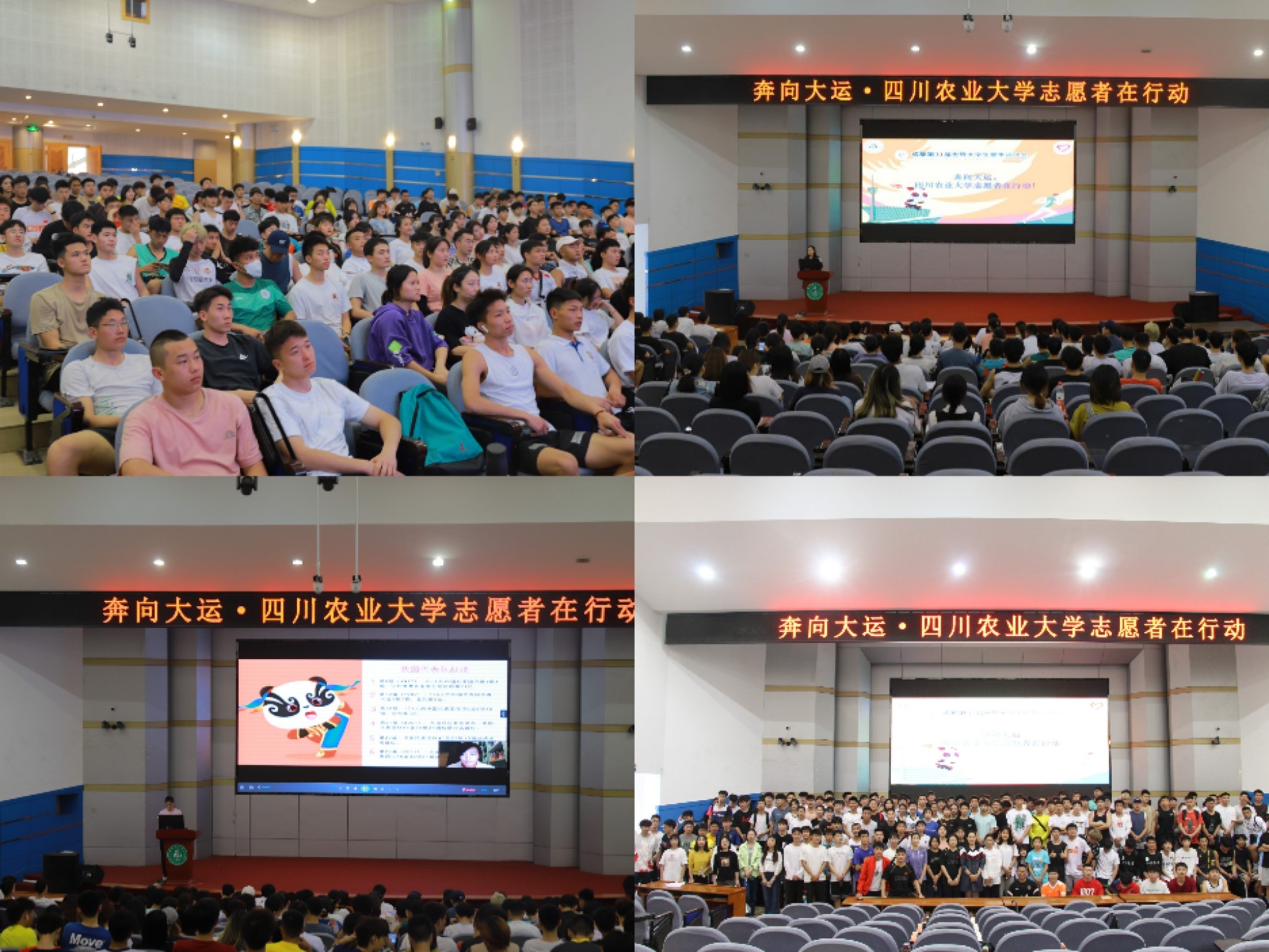 青春迎大运,我校高质量完成大运会志愿者招募选拔和通识培训-四川农业大学新闻网