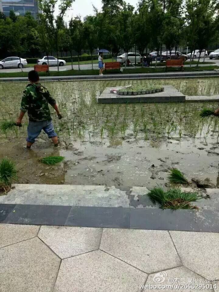 \