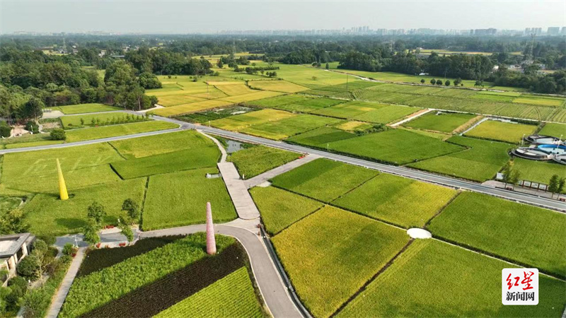 国家杂交水稻工程技术研究中心成都分中心