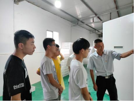 专合社负责人介绍白鹅产业发展情况 专合社负责人介绍白鹅产业发展情况