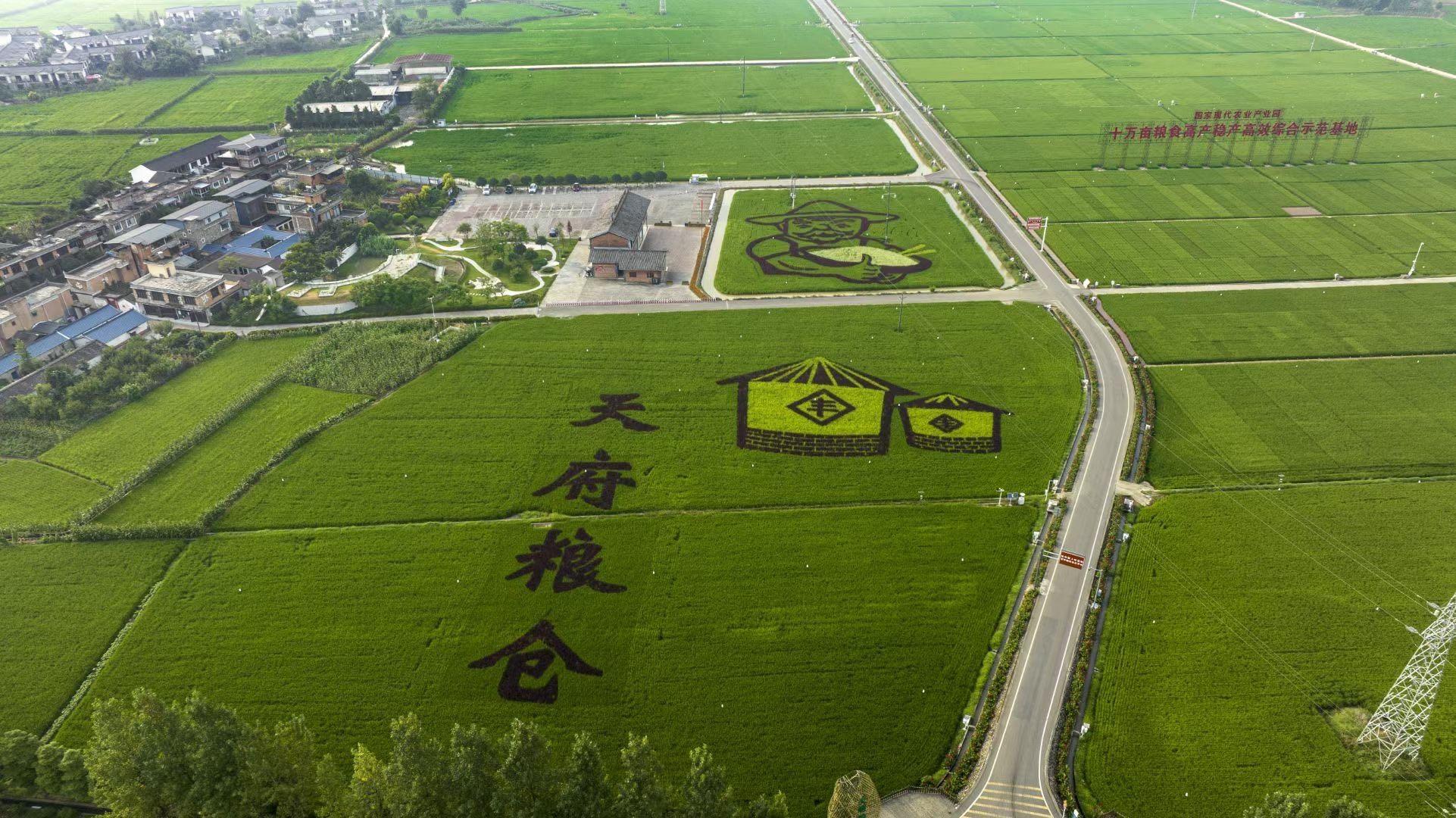 第27届中国杨凌农业高新科技成果博览会开幕