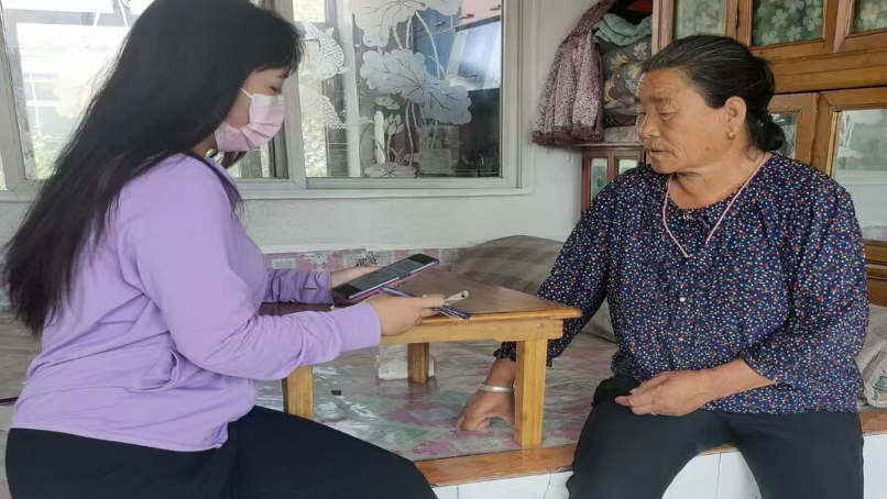 大学生投身“绿色行动” 助力建设美丽乡镇
