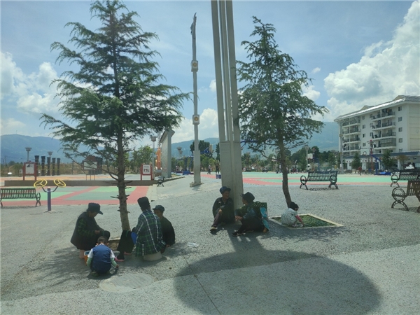川农学子暑期社会实践，深入调研易地搬迁脱贫成果