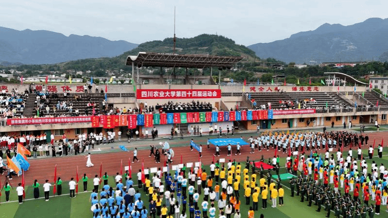 第四十四届校运会总决赛举行