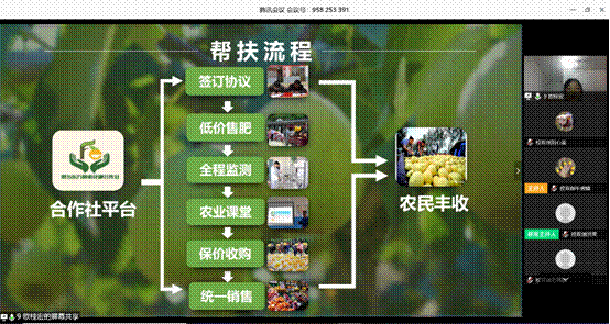 电视游戏的萤幕截图描述已自动生成