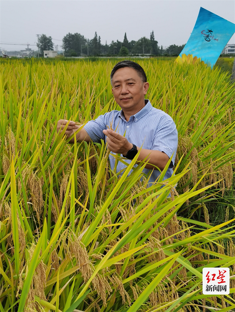 李平 李平