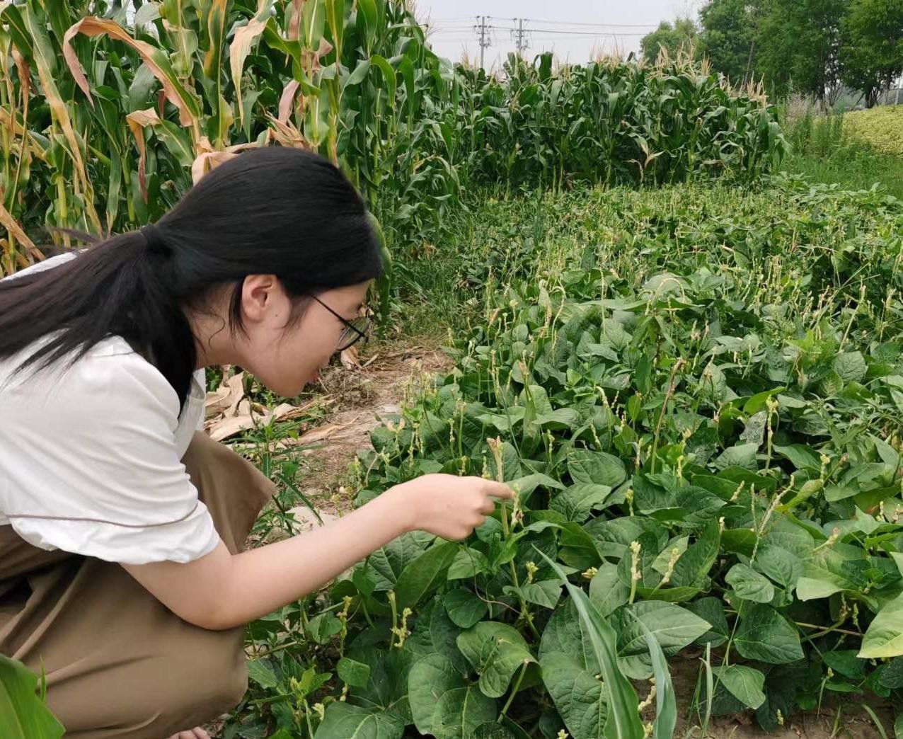川农资源学子三下乡:实践走八方,乡村振兴旺 川农资源学子三下乡:实践走八方,乡村振兴旺