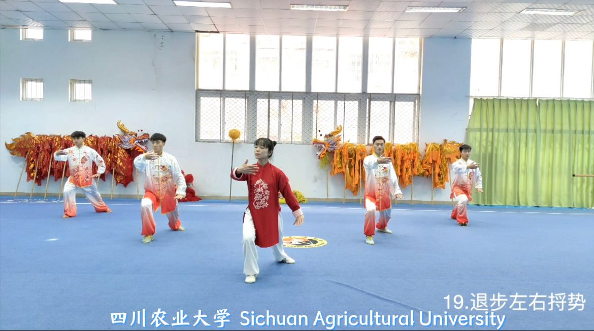 我校武术队亮相全球首届国际太极拳日联动展演