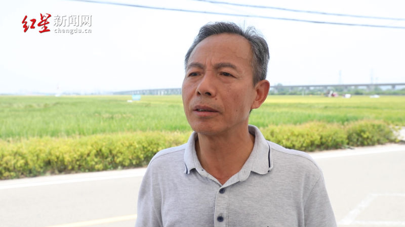 四川农业大学马均教授 四川农业大学马均教授