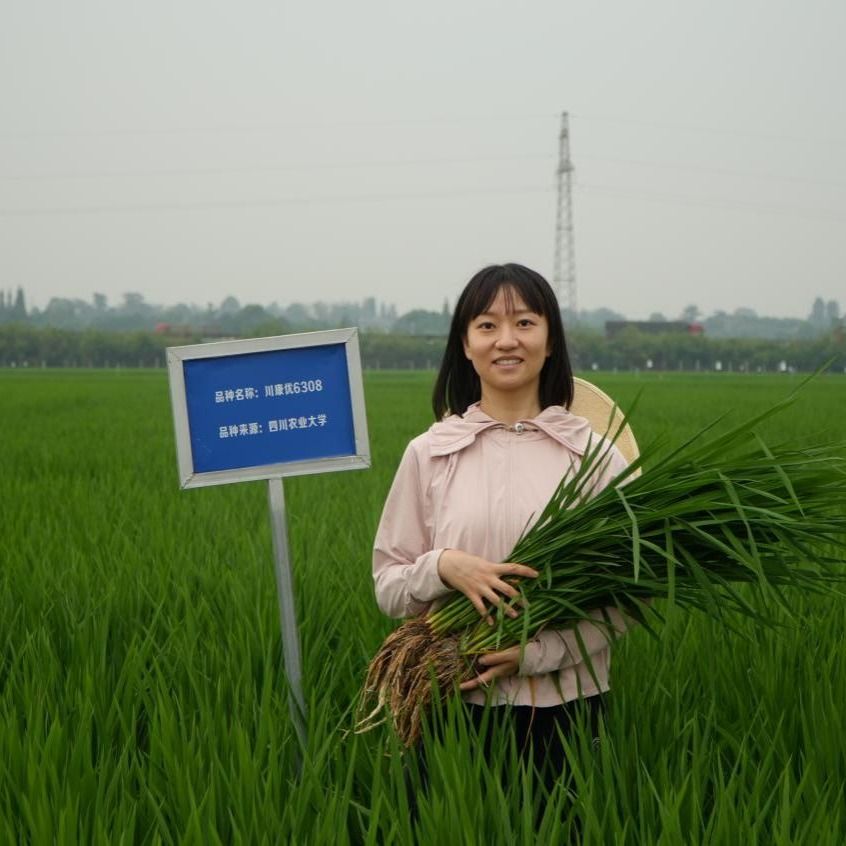 【研究生优秀标兵】熊君：每一粒种子都有无限可能