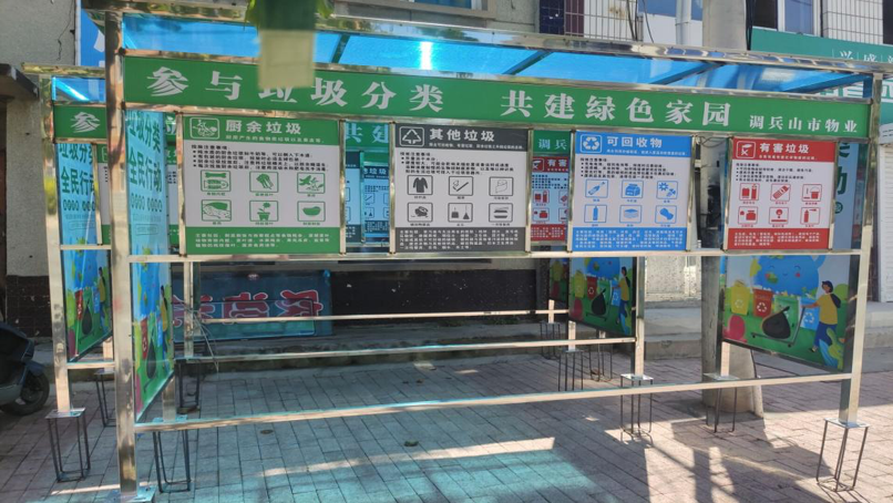 大学生投身“绿色行动” 助力建设美丽乡镇