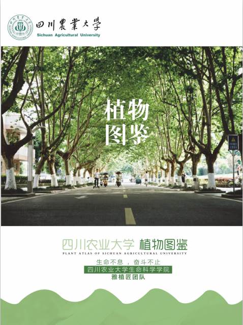 新版《四川农业大学植物图鉴》封面